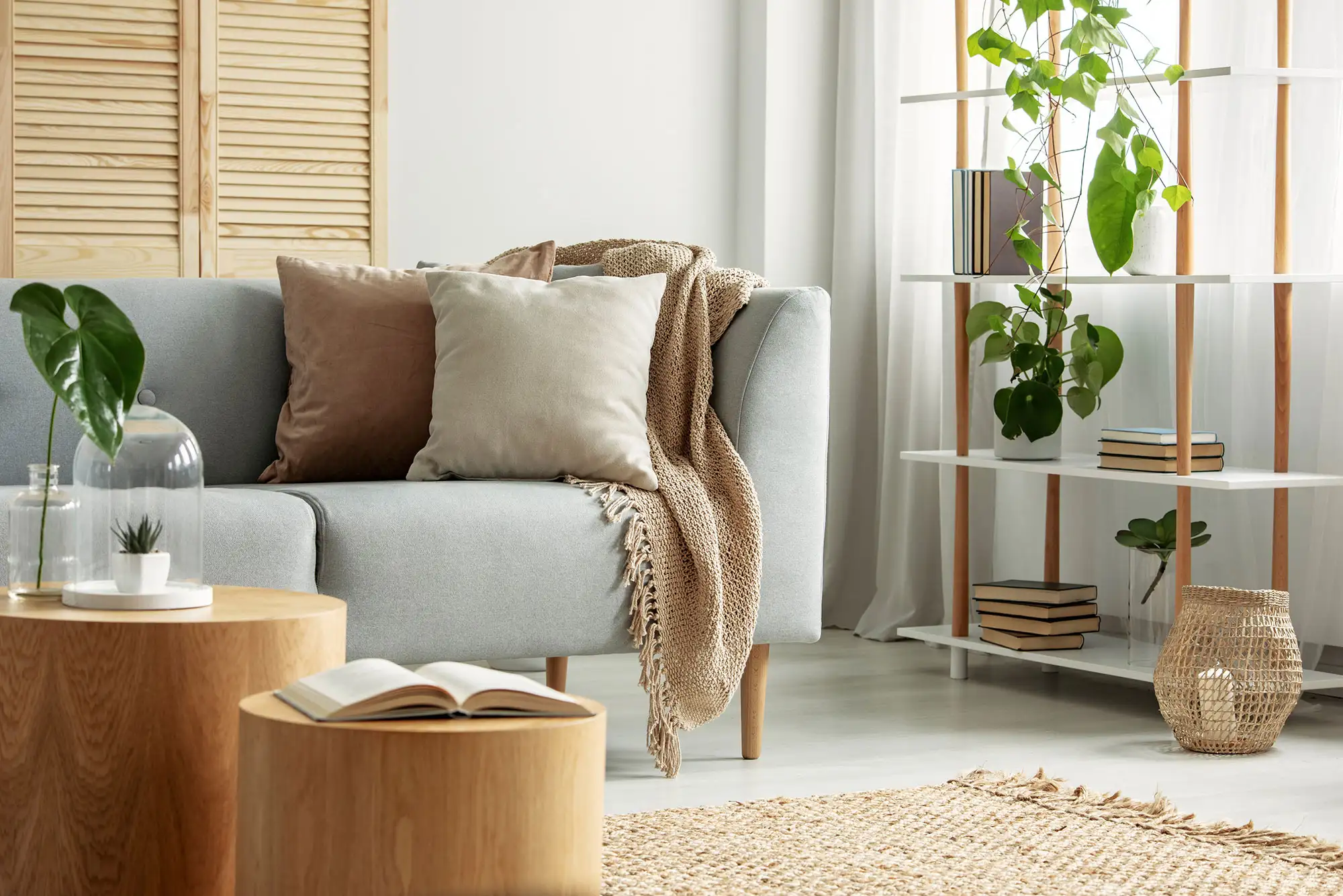 Cozy Scandinavian living room with gray sofa and plants